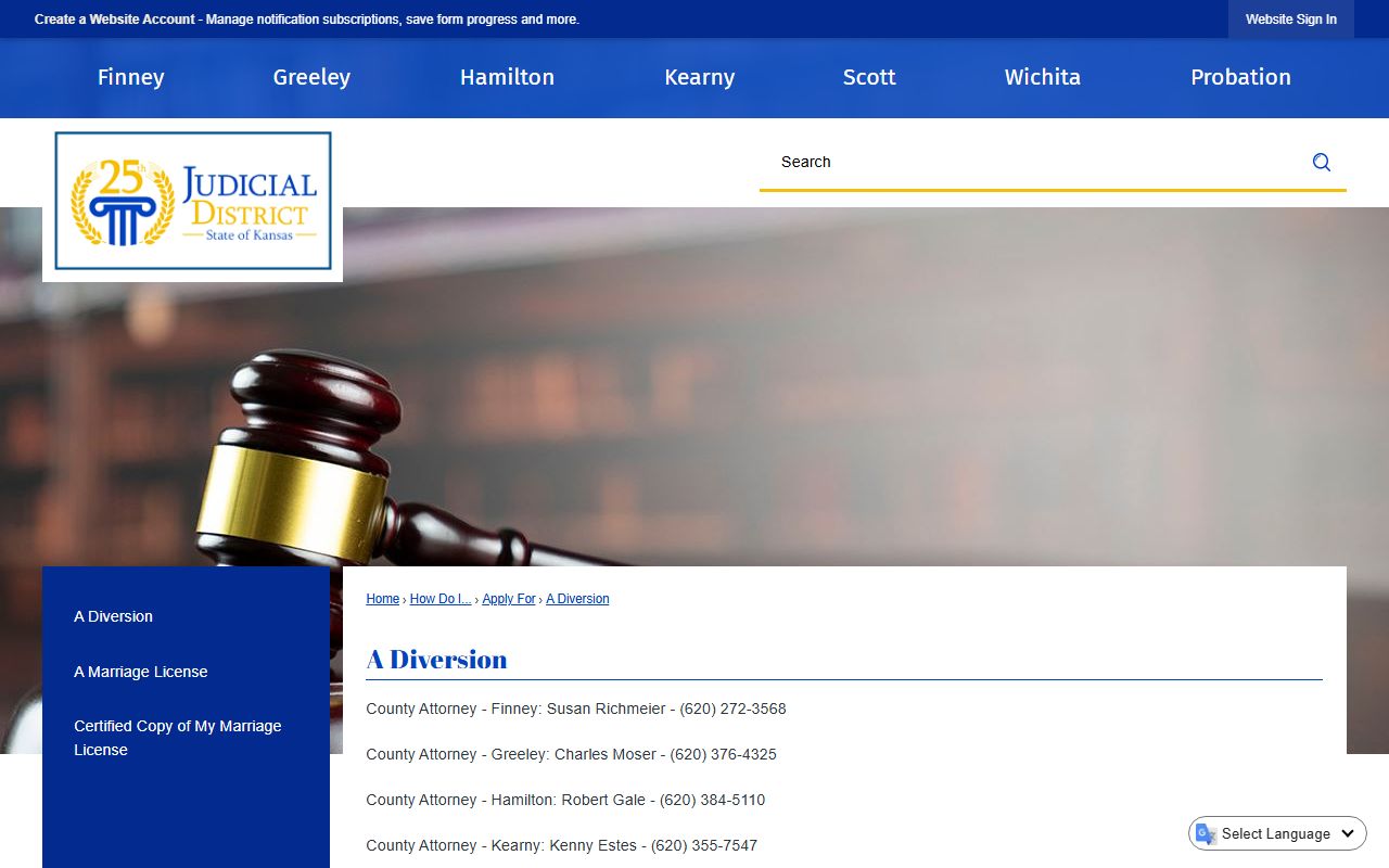 Wichita County criminal court records 25th Judicial District diversion source